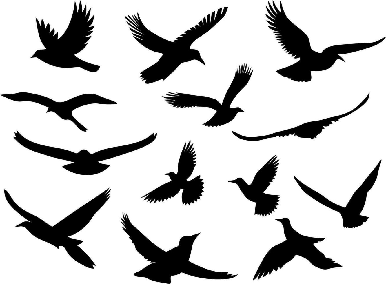 Set of black silhouettes of flying birds. Vector illustration isolated on white background.