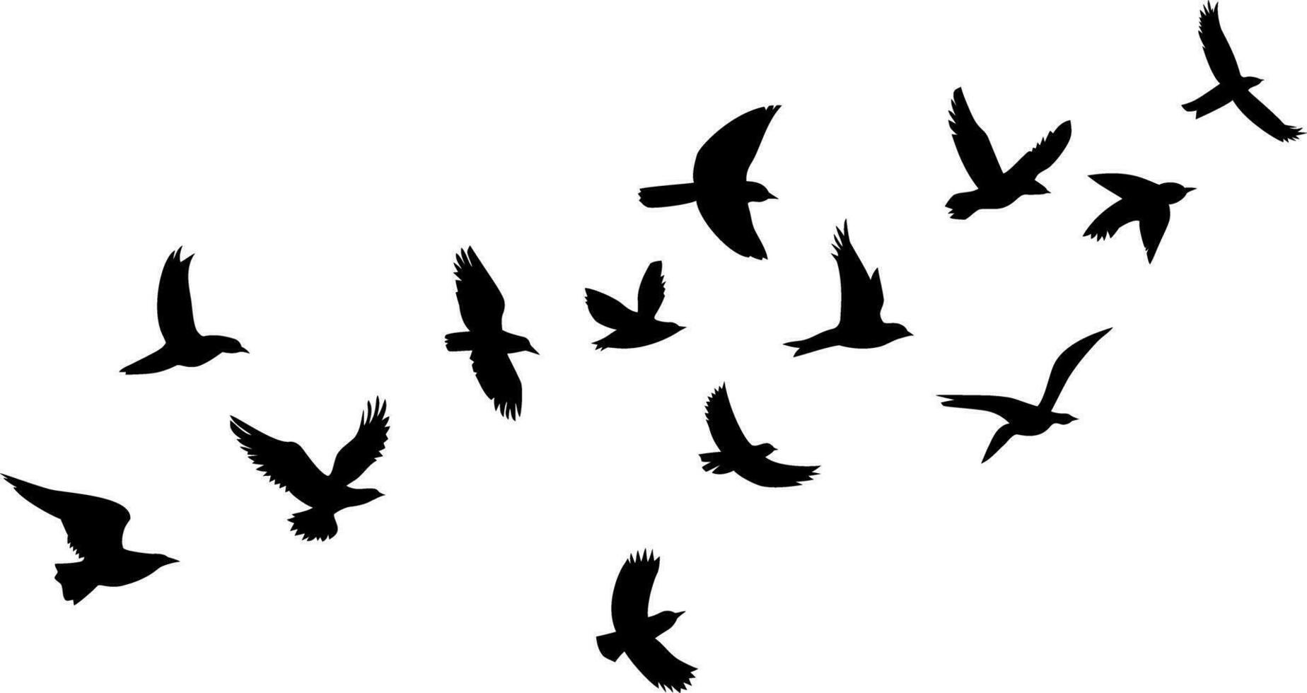 Silhouettes of flying birds on a white background. Vector illustration