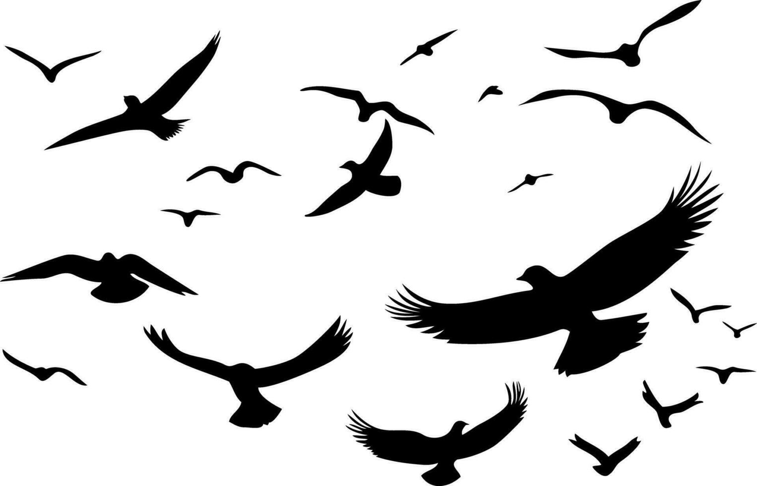 Silhouettes of flying birds on a white background. Vector illustration