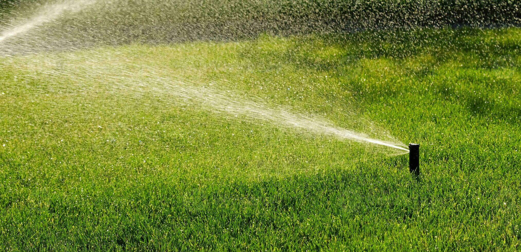 Automatic garden irrigation system watering lawn with adjustable head. Automatic equipment for irrigation and maintenance of lawns, gardening. photo