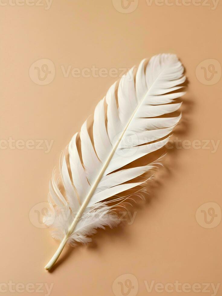 AI generated White feather on a beige background. Flat lay, top view. photo