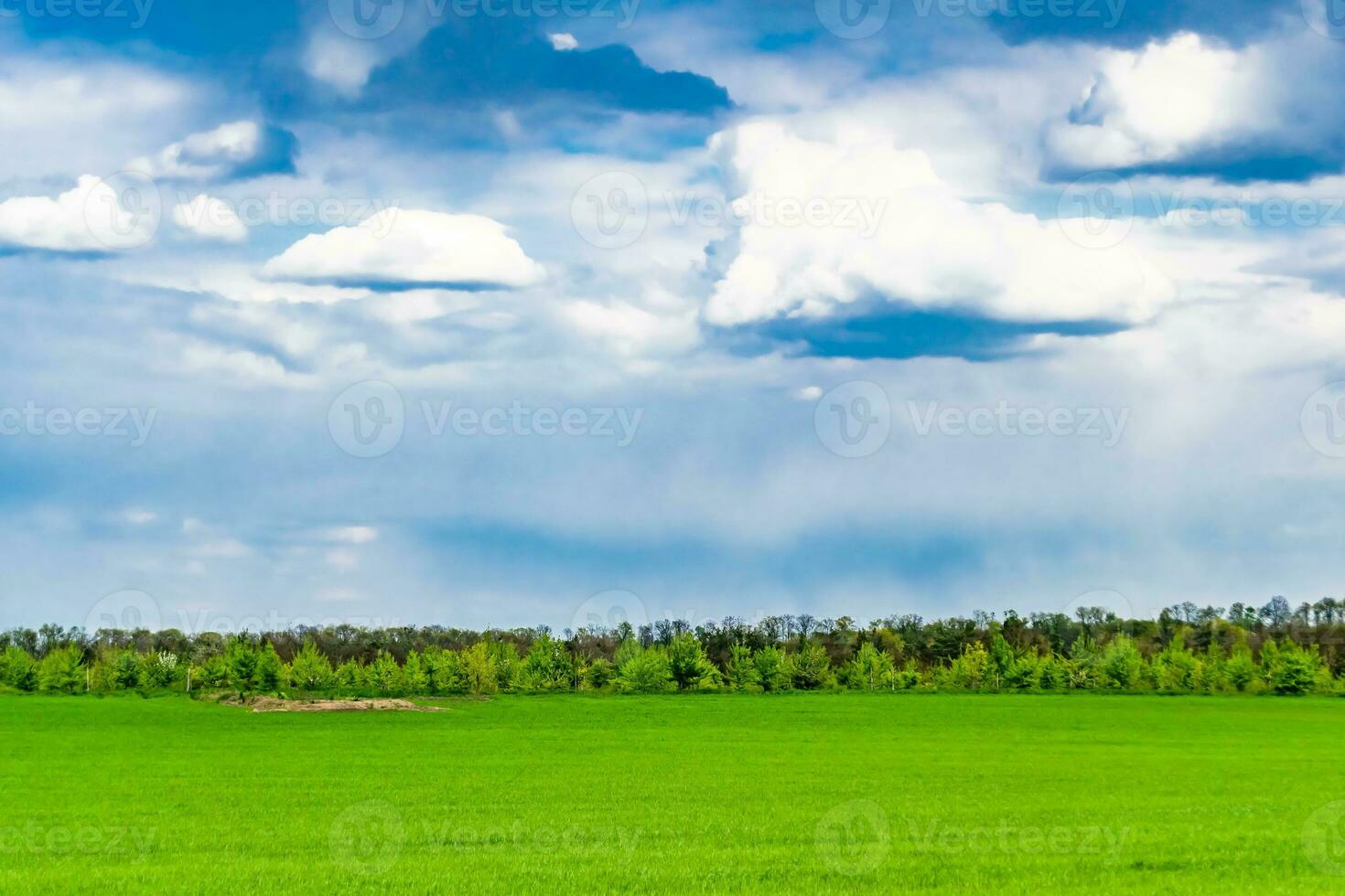 Beautiful horizon scenery in village meadow on color natural background photo