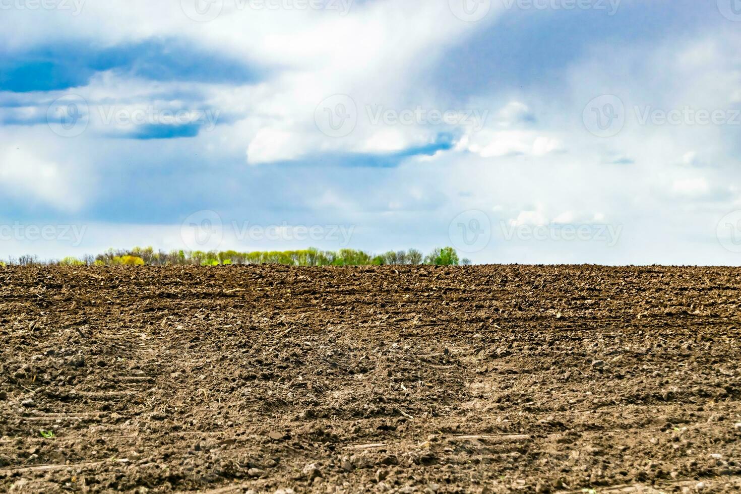 Photography on theme big empty farm field for organic harvest photo