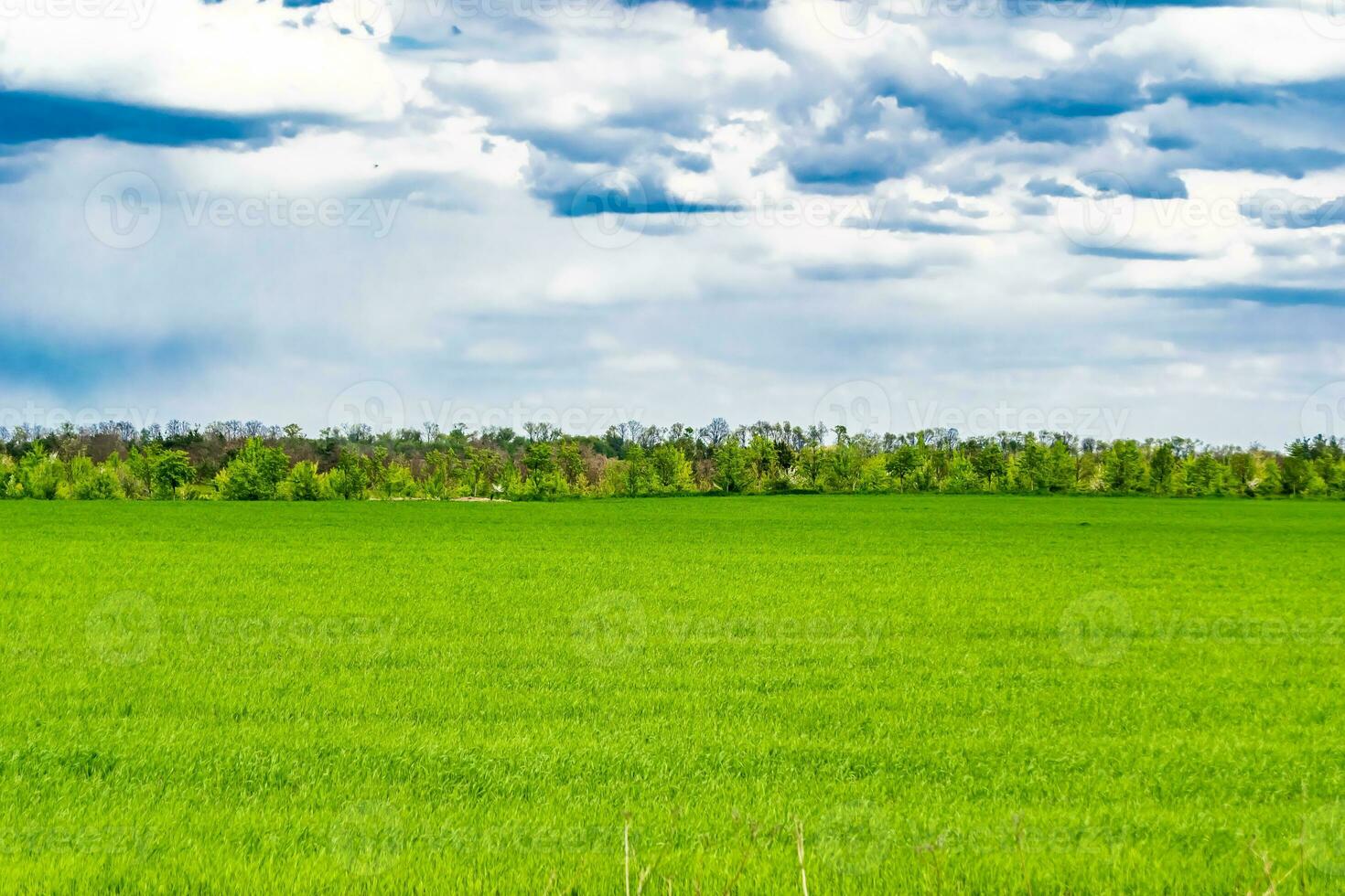 Beautiful horizon scenery in village meadow on color natural background photo