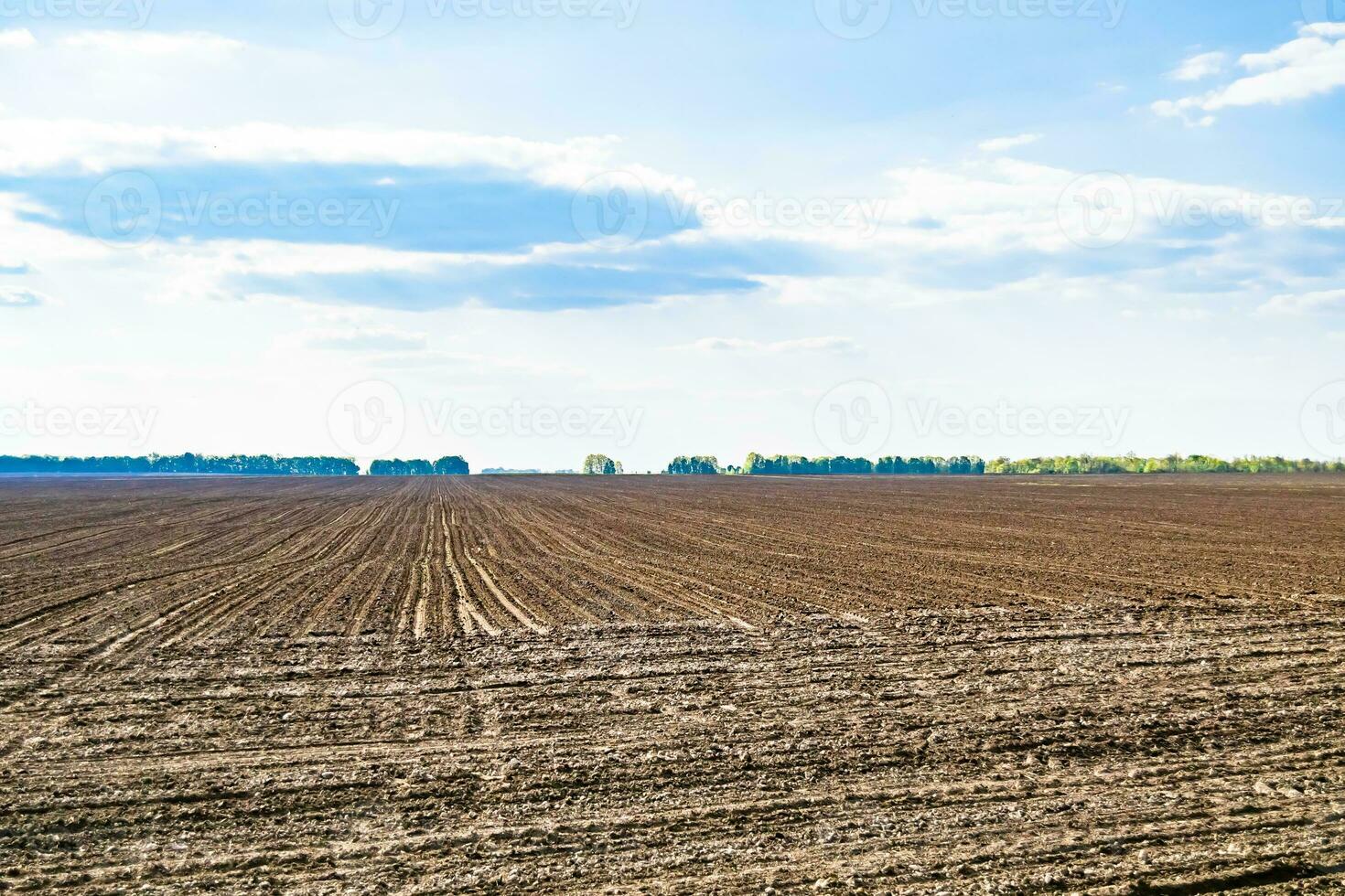 Photography on theme big empty farm field for organic harvest photo