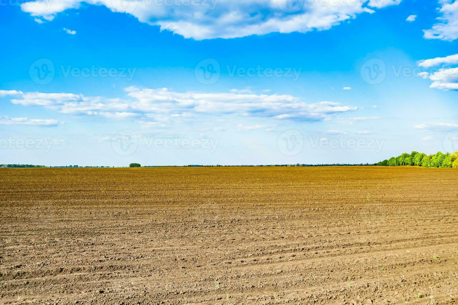 Photography on theme big empty farm field for organic harvest photo