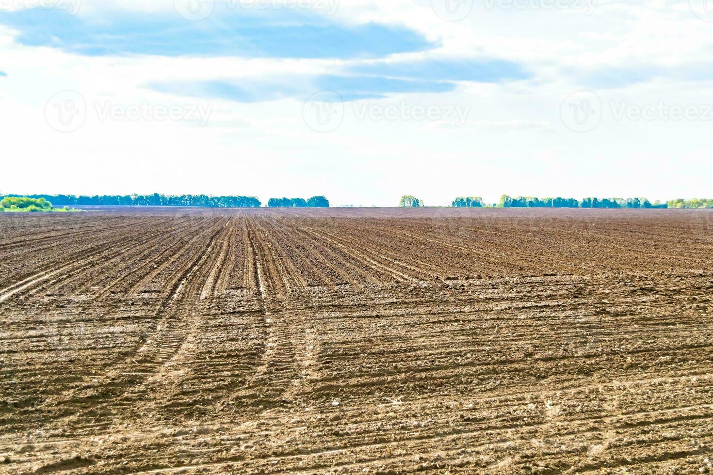 Photography on theme big empty farm field for organic harvest photo