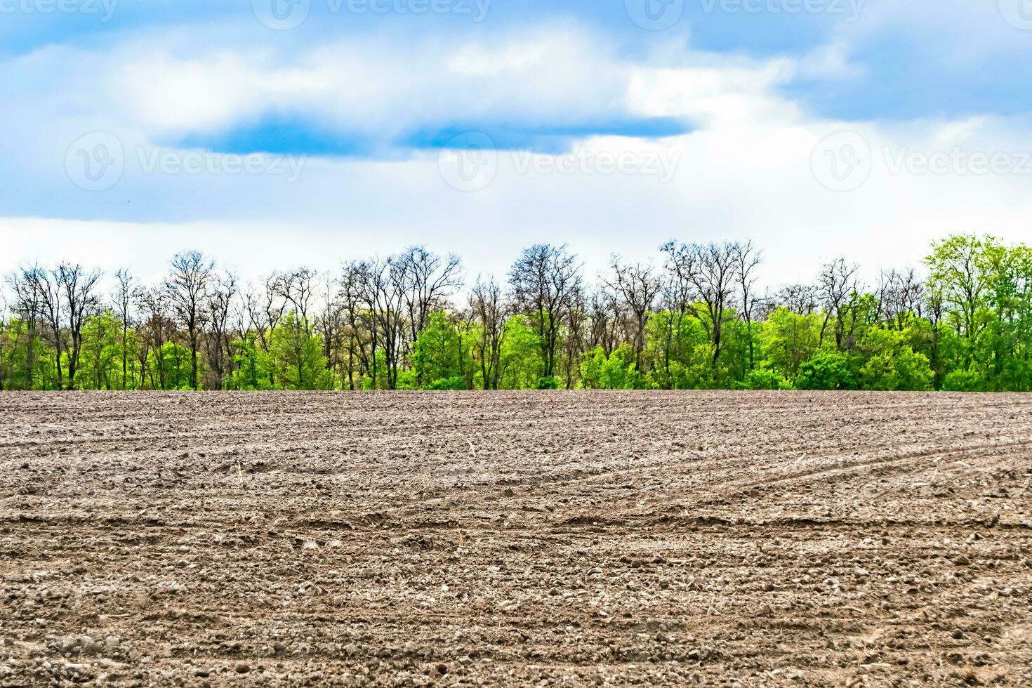 Photography on theme big empty farm field for organic harvest photo