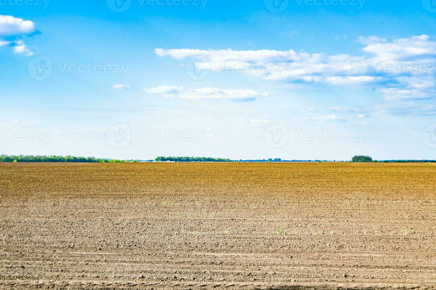 Photography on theme big empty farm field for organic harvest photo