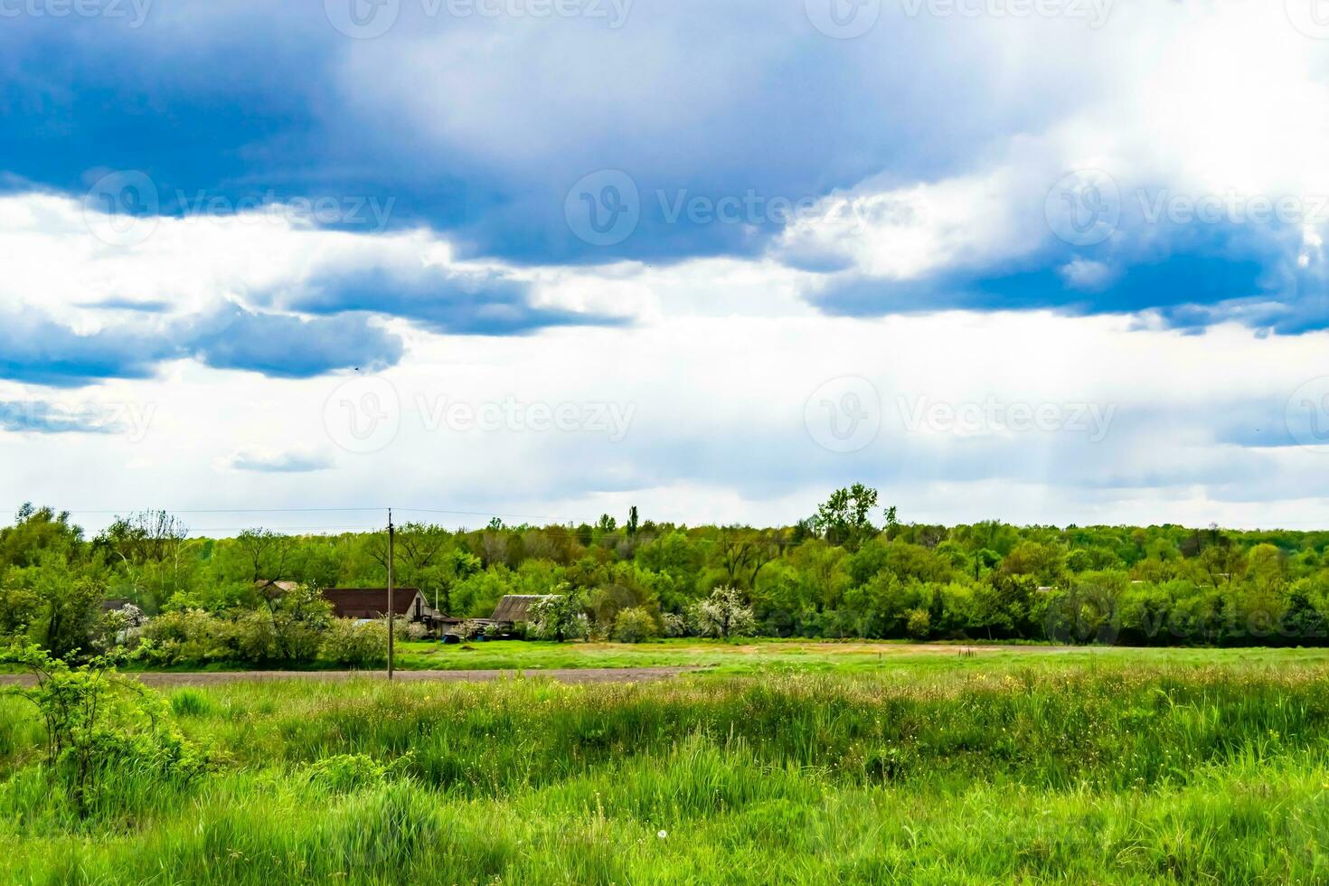 Beautiful horizon scenery in village meadow on color natural background photo