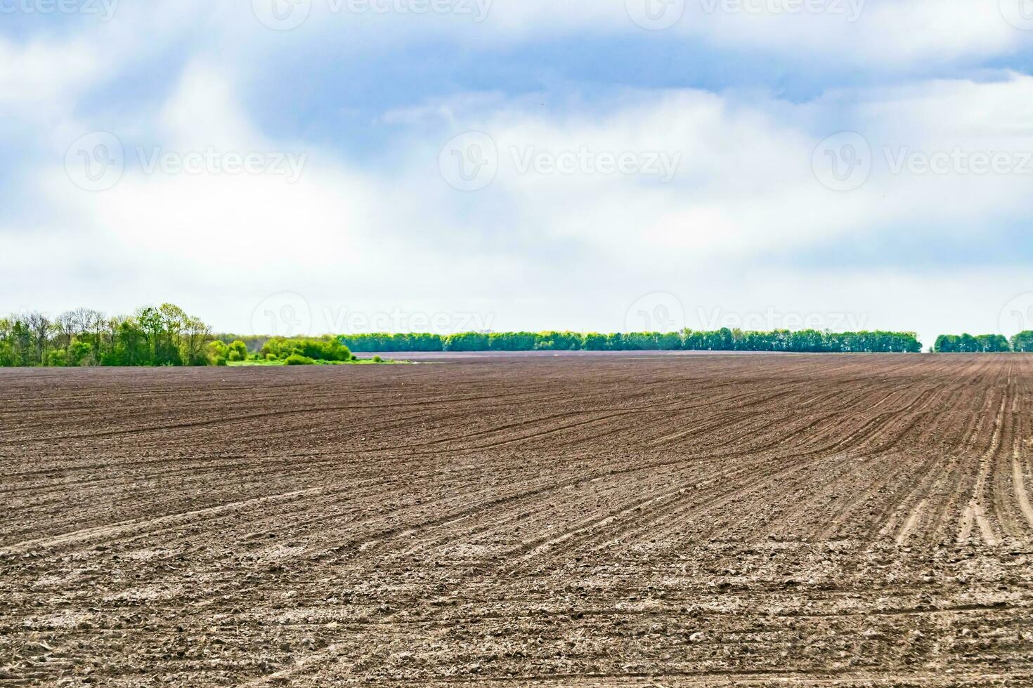 Photography on theme big empty farm field for organic harvest photo