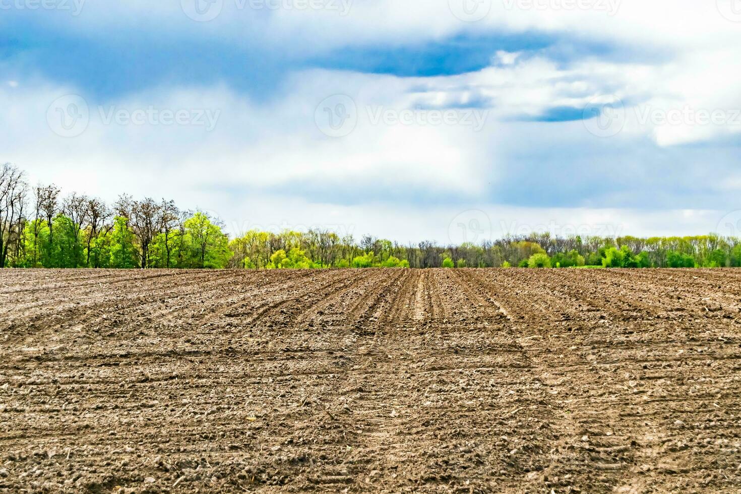 Photography on theme big empty farm field for organic harvest photo