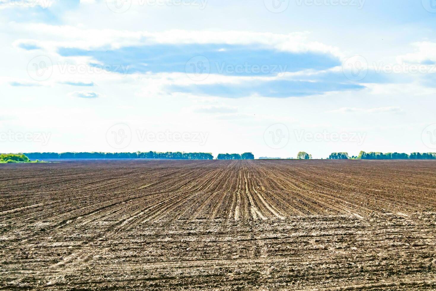 Photography on theme big empty farm field for organic harvest photo