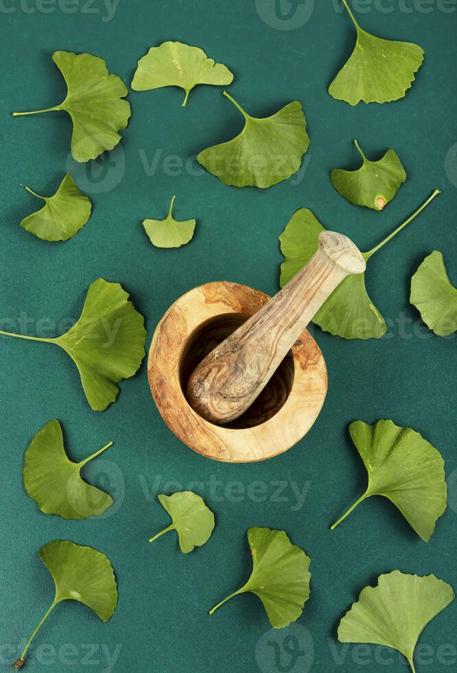 Ginkgo biloba leaves, homeopathy concept photo