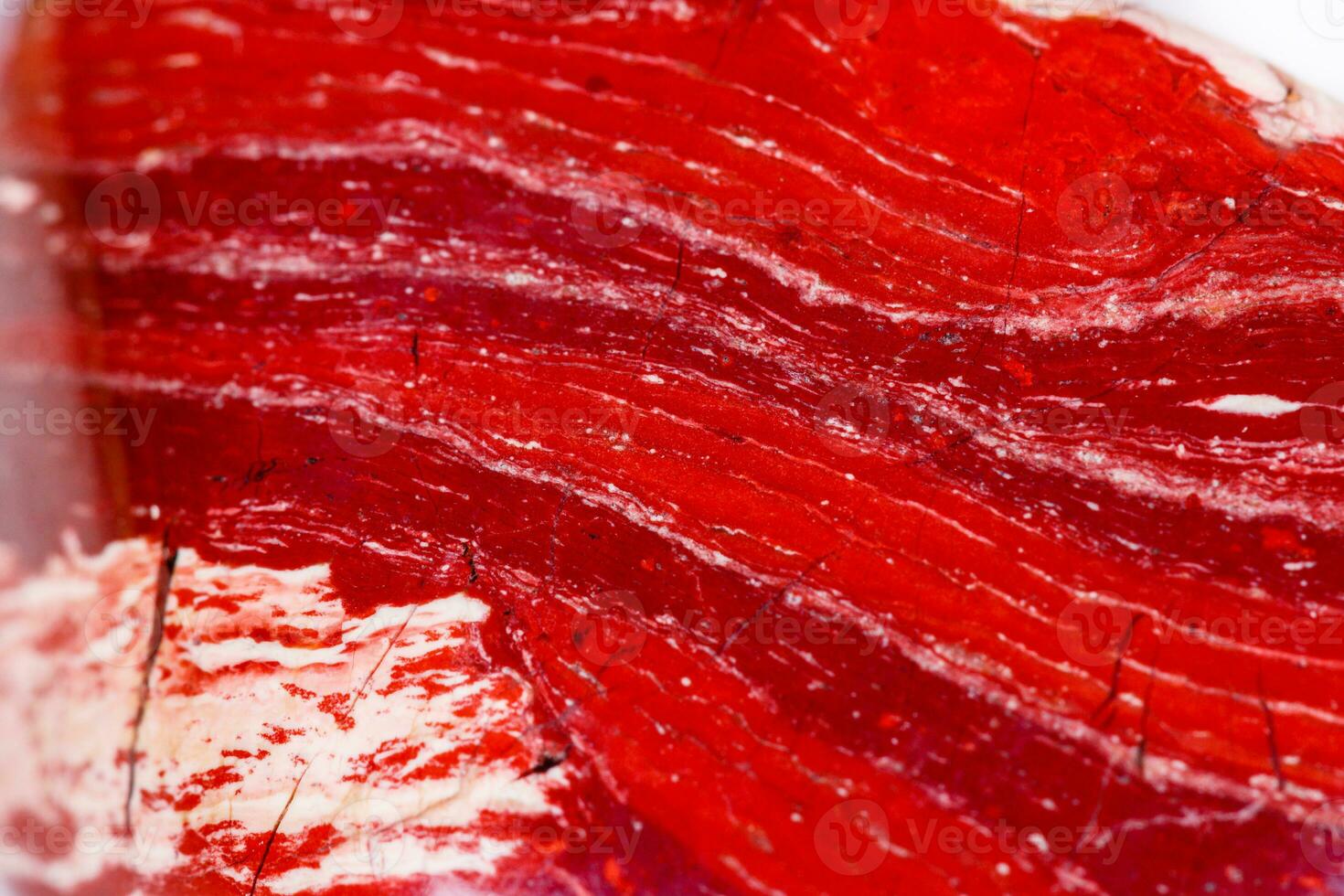Macro mineral stone jasper zebra iron on a white background photo