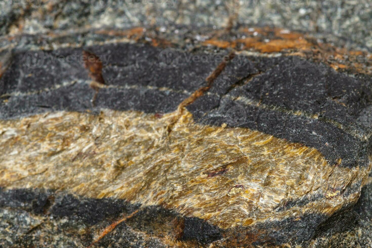 ojo de serpiente de piedra mineral macro en la roca un fondo blanco foto