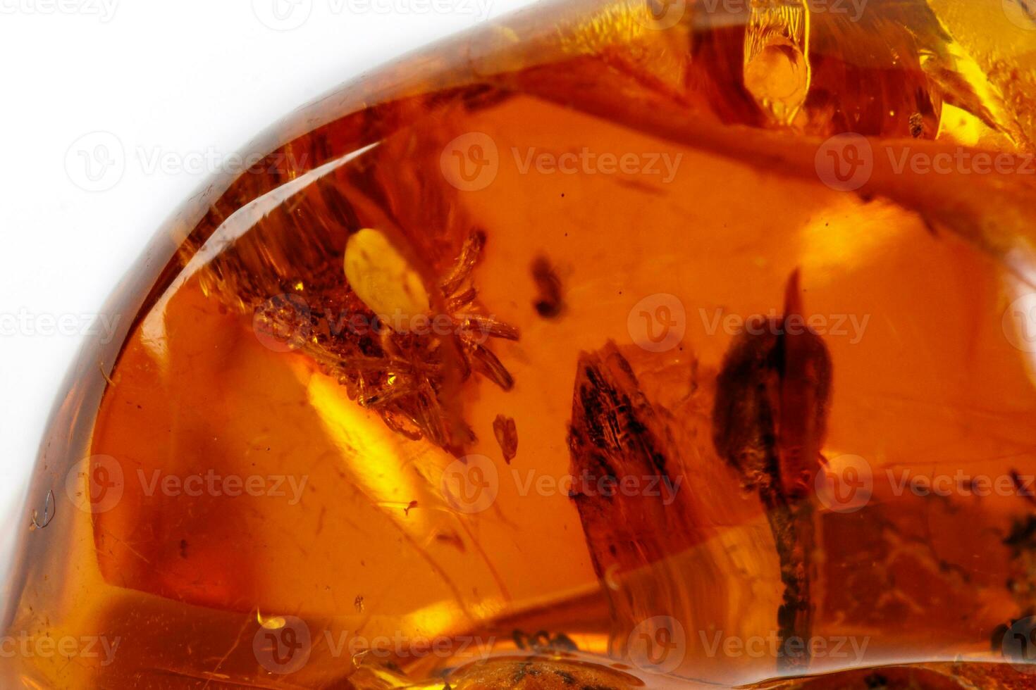 Macro Amber mineral stone with spider on white background photo