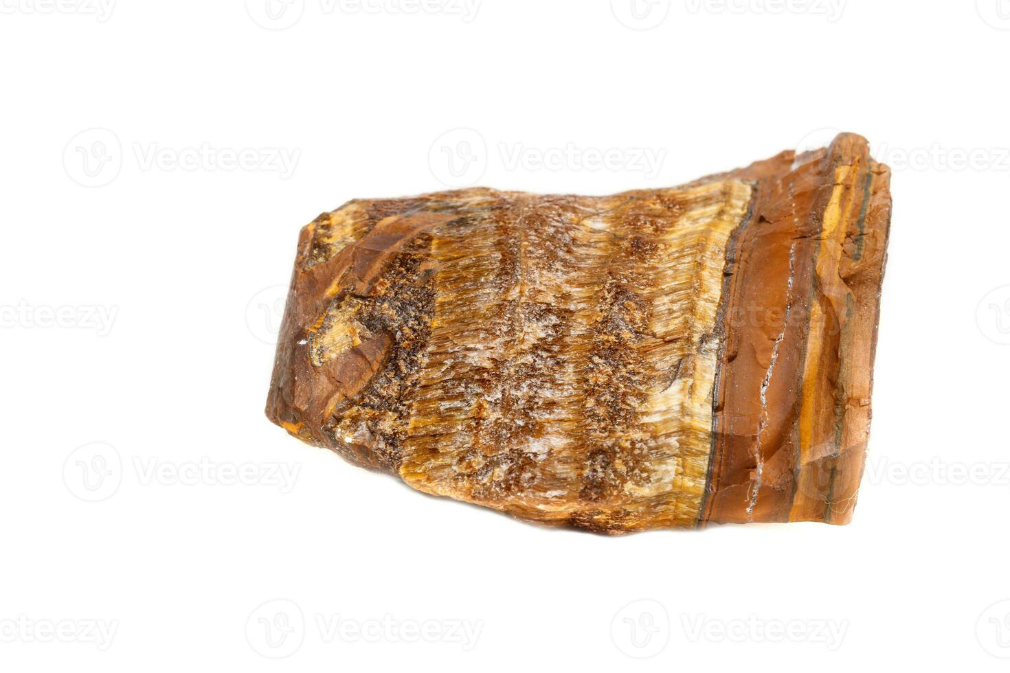Macro mineral stone Tiger's eye in the breed on a white background photo