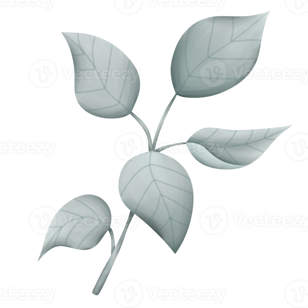 Illustration of watercolor green leaves element on transparent background. suitable for Wedding Invitation, save the date, thank you, or greeting card. png