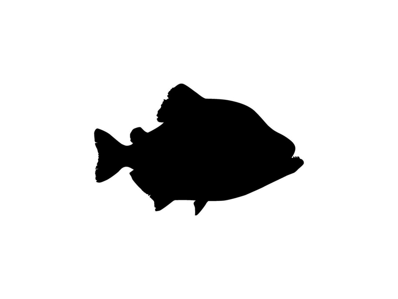 Piranha Fish Silhouette, can use for Logo Gram, Website, Art Illustration, Pictogram, Icon or Graphic Design Element. Vector Illustration