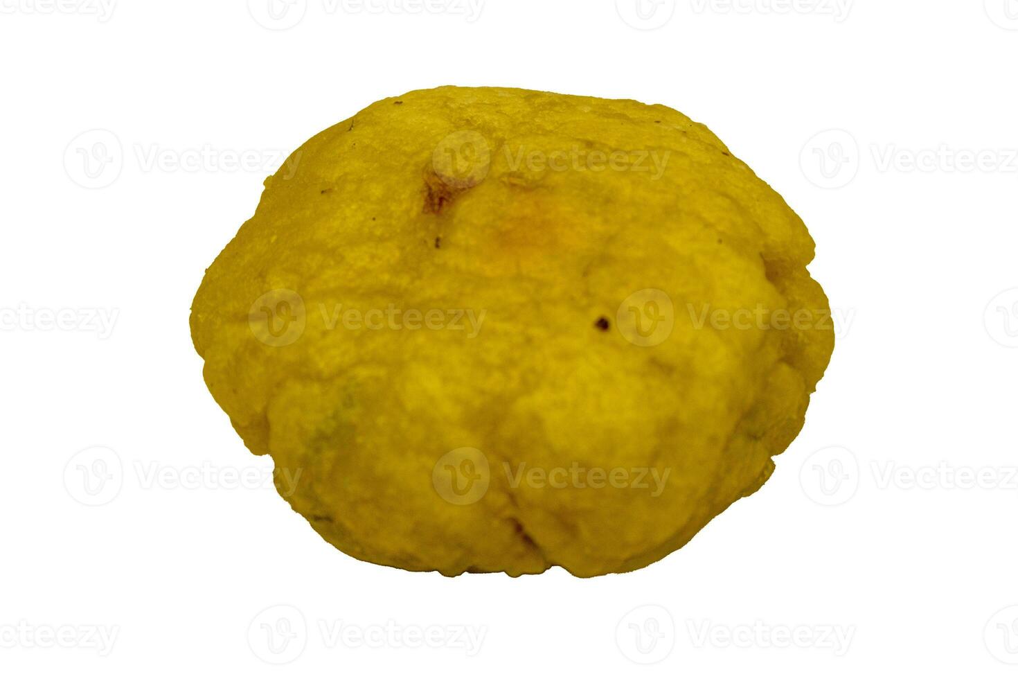 Gentur or Deblo is Indonesian snack made from steamed cassava and then pounded. typical Sundanese food photo