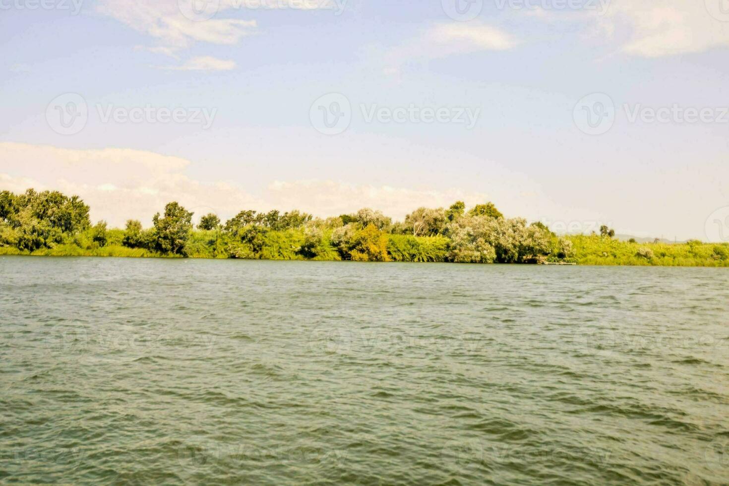 a body of water with trees and grass on the shore photo