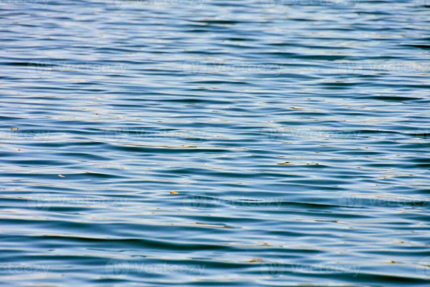 small ripples in the water photo