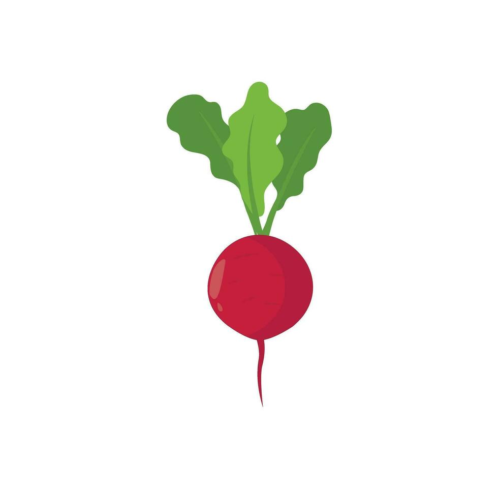 Radish icon in flat style. Isolated object, logo. Vegetable from the farm. Organic food. Vector illustration.