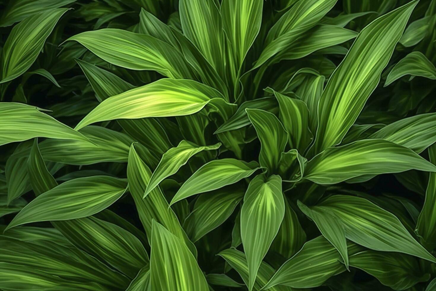 AI generated A plant with lots of large green leaves. AI Generated photo