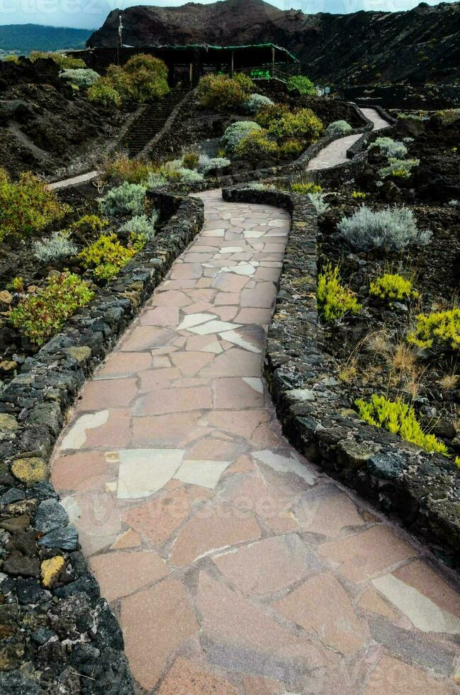 a path in the lava field photo