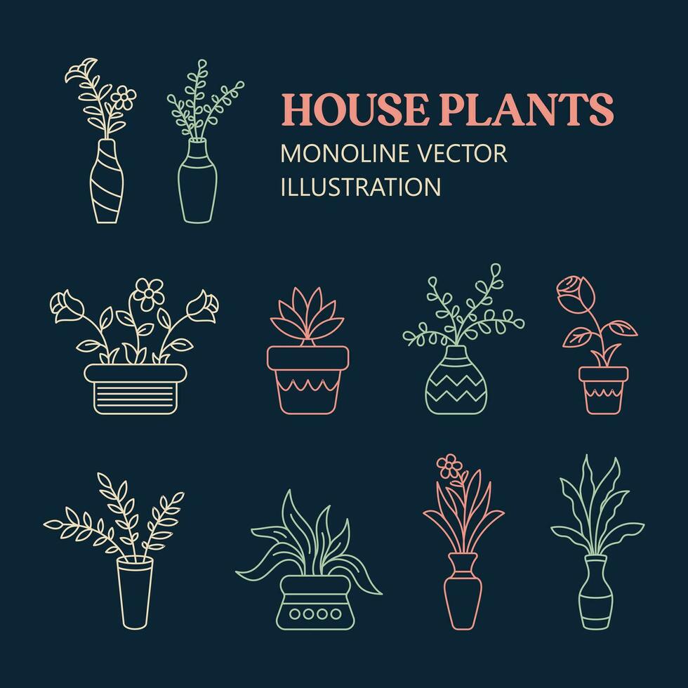 House Plants Vector Collection