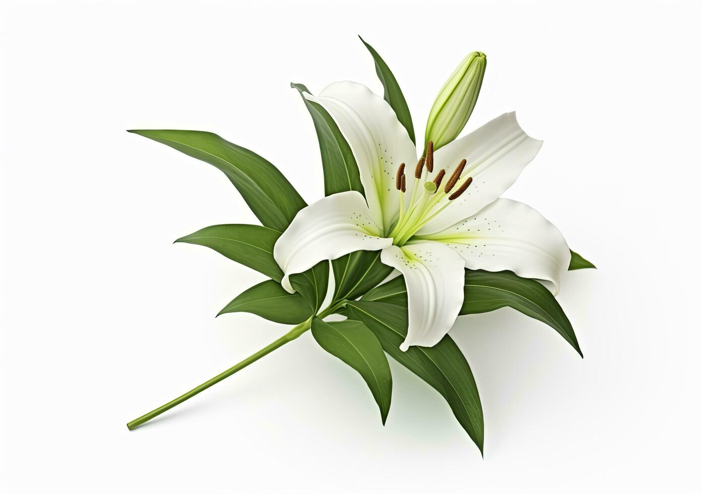 AI generated Beautiful fresh lily flower with green leaves, isolated on white background. AI Generated photo