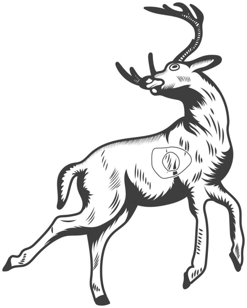 3d Archery target vector