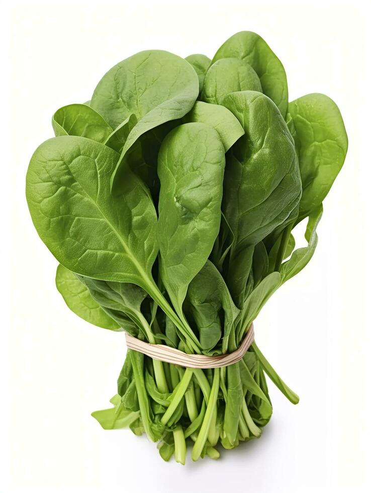 AI generated Bunch of spinach isolated on white background. photo