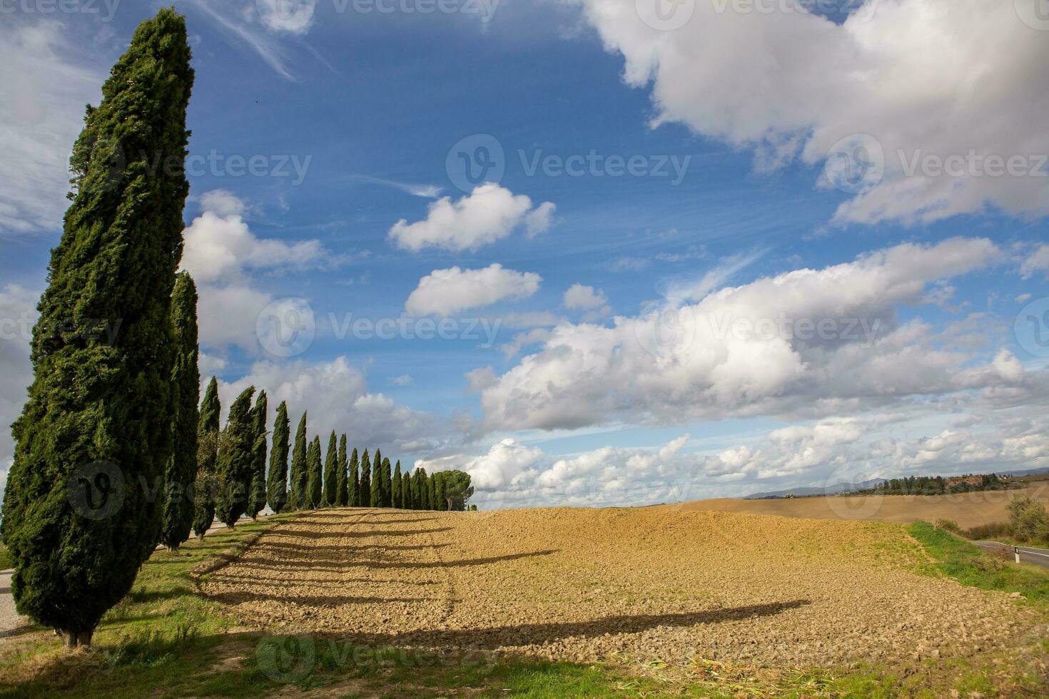 Famous Tuscany landscape with curved road and cypress, Italy, Europe. Rural farm, cypress trees, green field, sunlight and cloud. photo