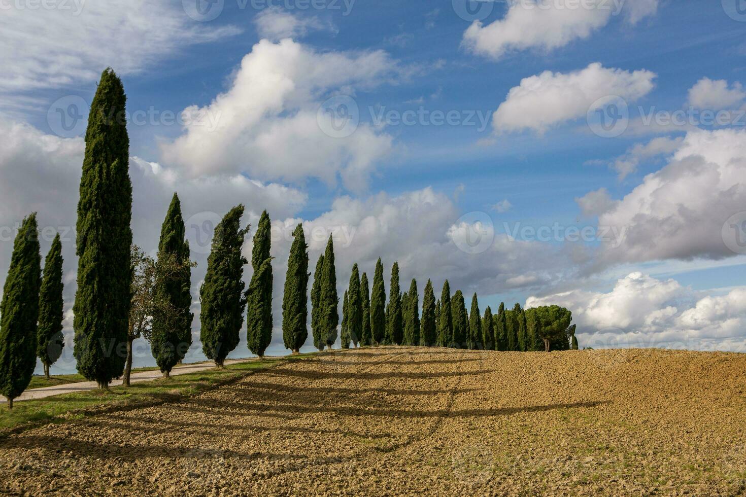 Famous Tuscany landscape with curved road and cypress, Italy, Europe. Rural farm, cypress trees, green field, sunlight and cloud. photo