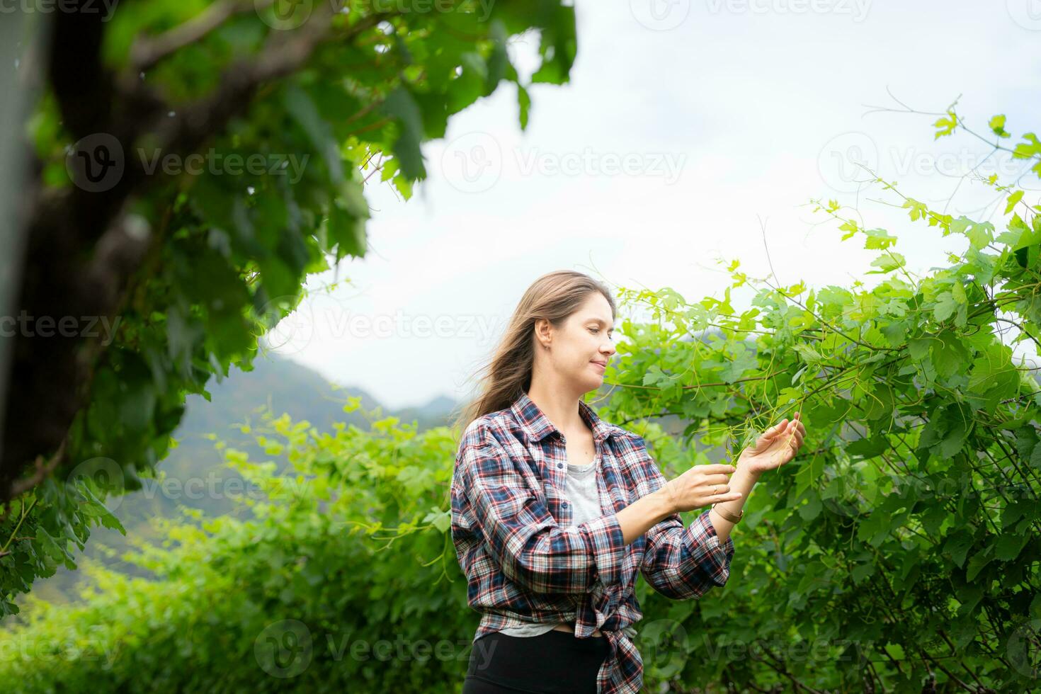 retrato de un joven mujer en el viñedo con pequeño uvas foto