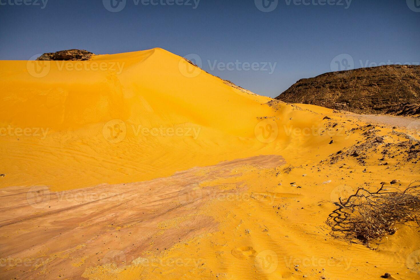 Landscape of sahara desert in Egypt. Conceptual for freedom, enjoying the journey. photo