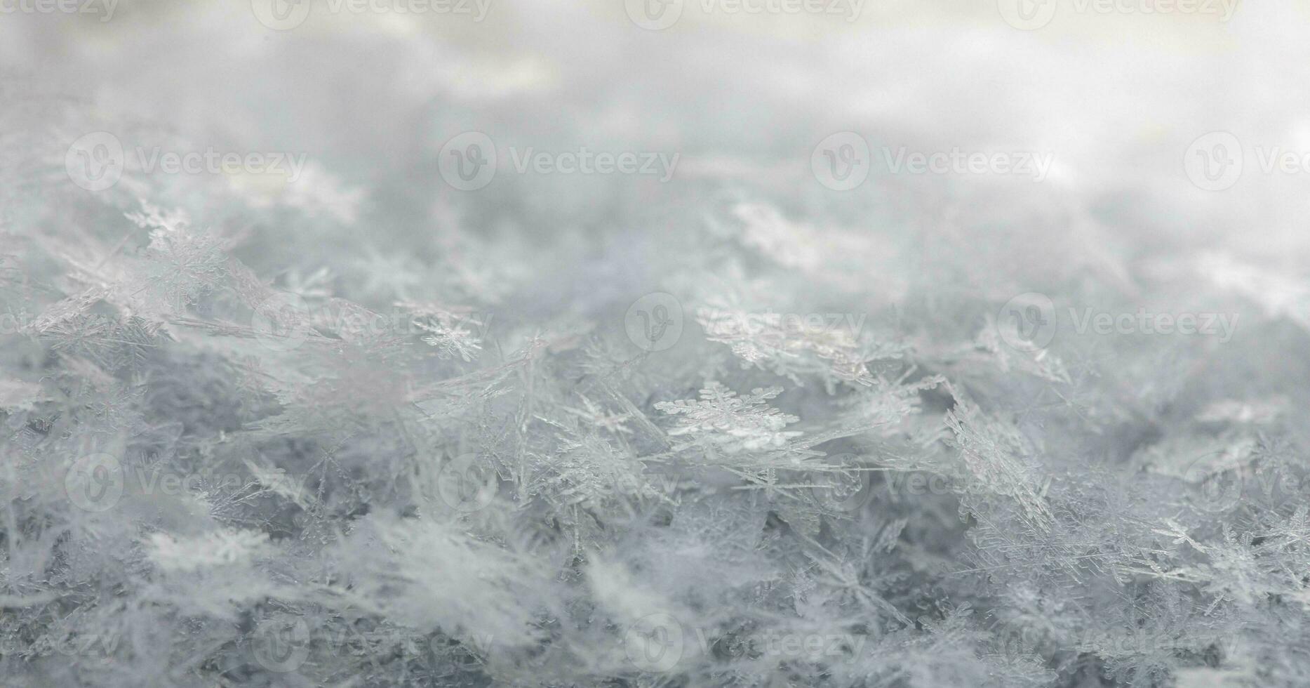 Snowy winter background. Beautiful snowflakes close up. Beauty in nature. Selective focus. photo