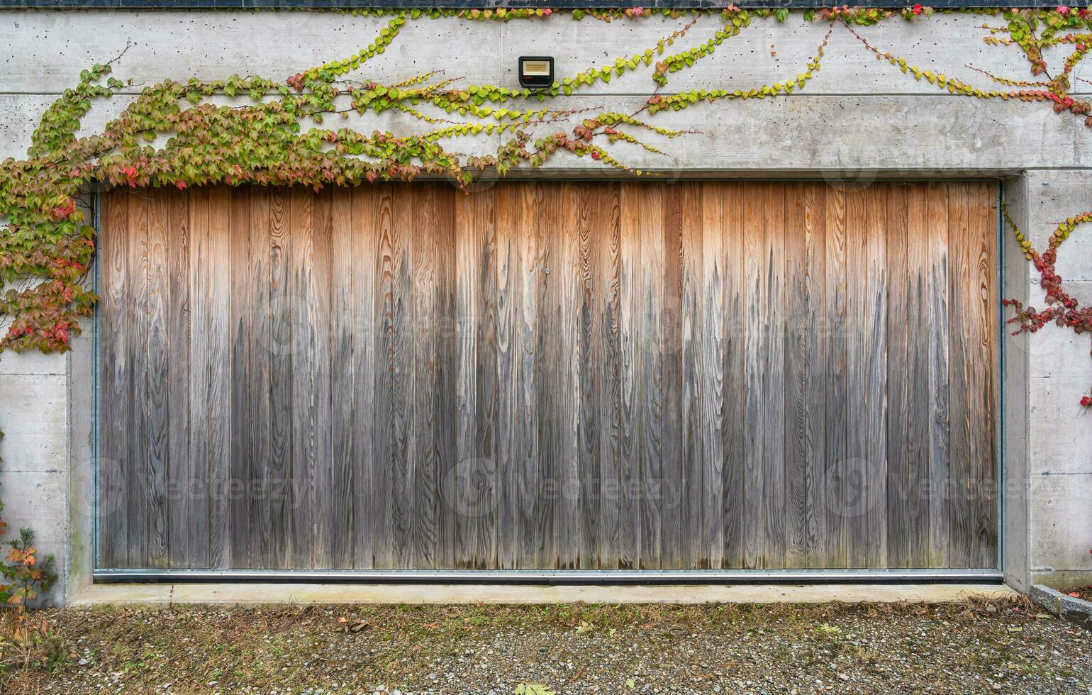 Wooden gate of garage with autumn leaves ivy plant in the house photo