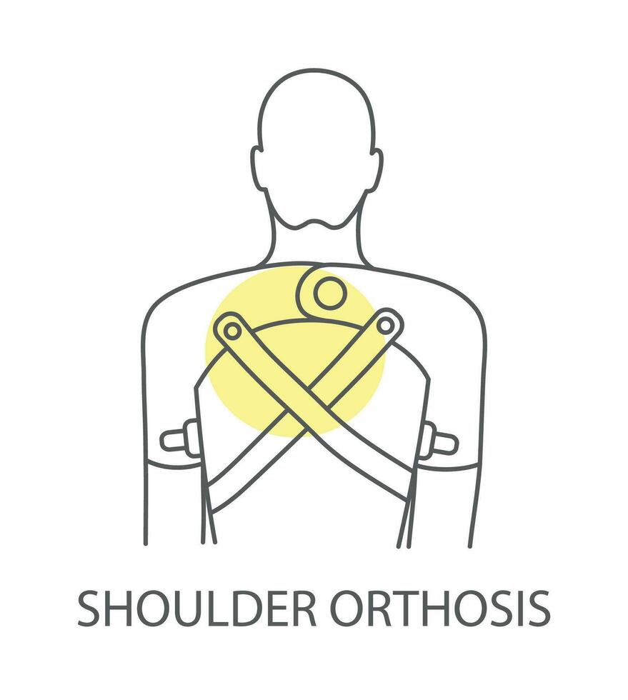 Shoulder orthosis icon in vector, linear illustration vector