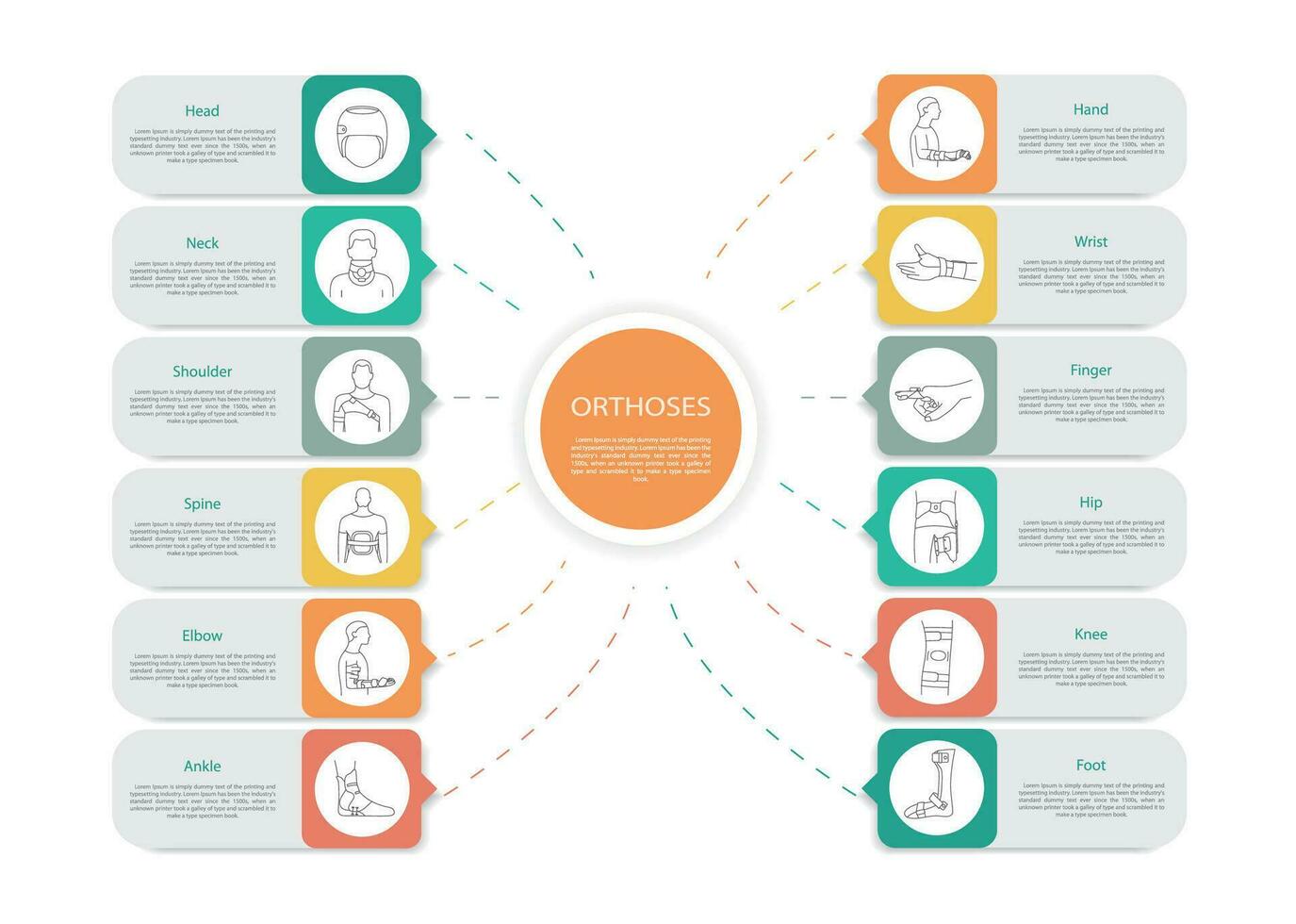 Infographic orthoses, linear icons in vector