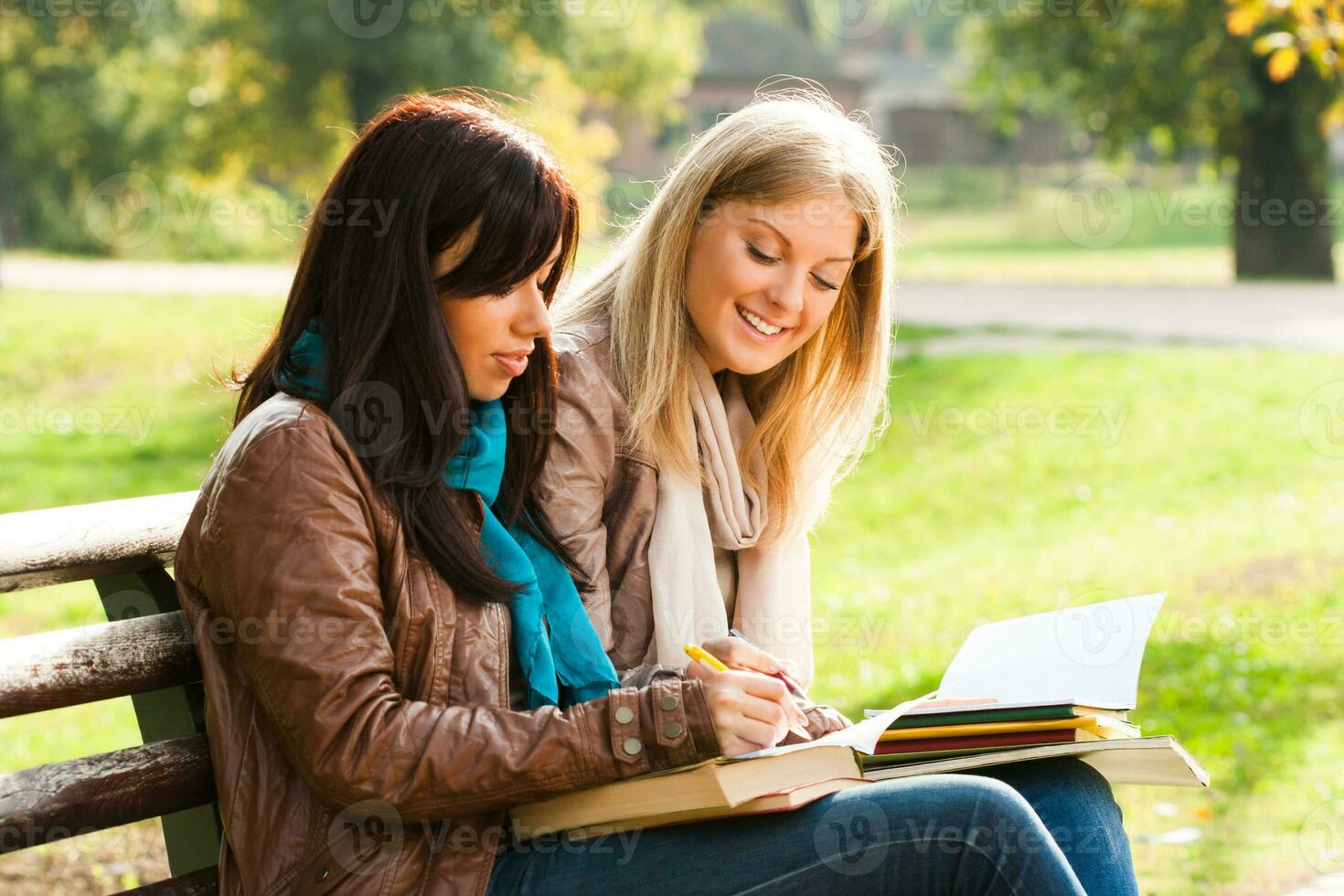 Students learning together photo