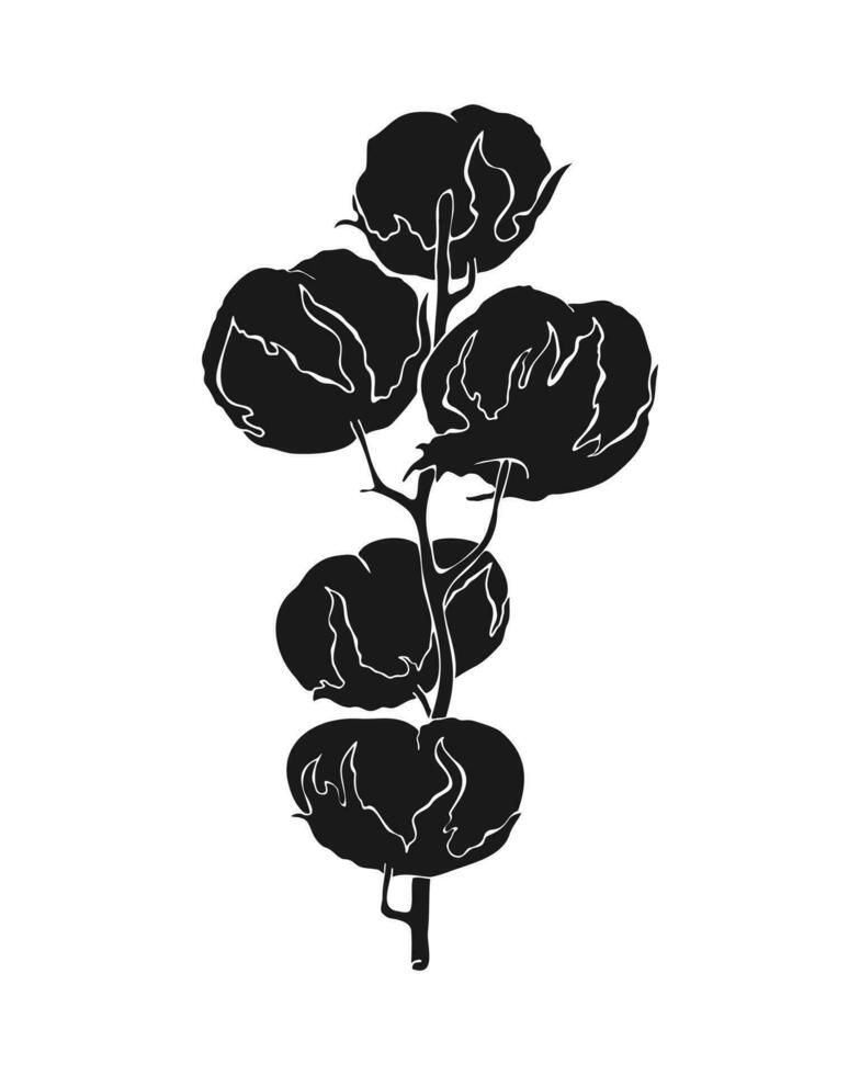 Branch cotton with cotton bolls, hand drawn black silhouette of plant flower. Isolated, white background. vector