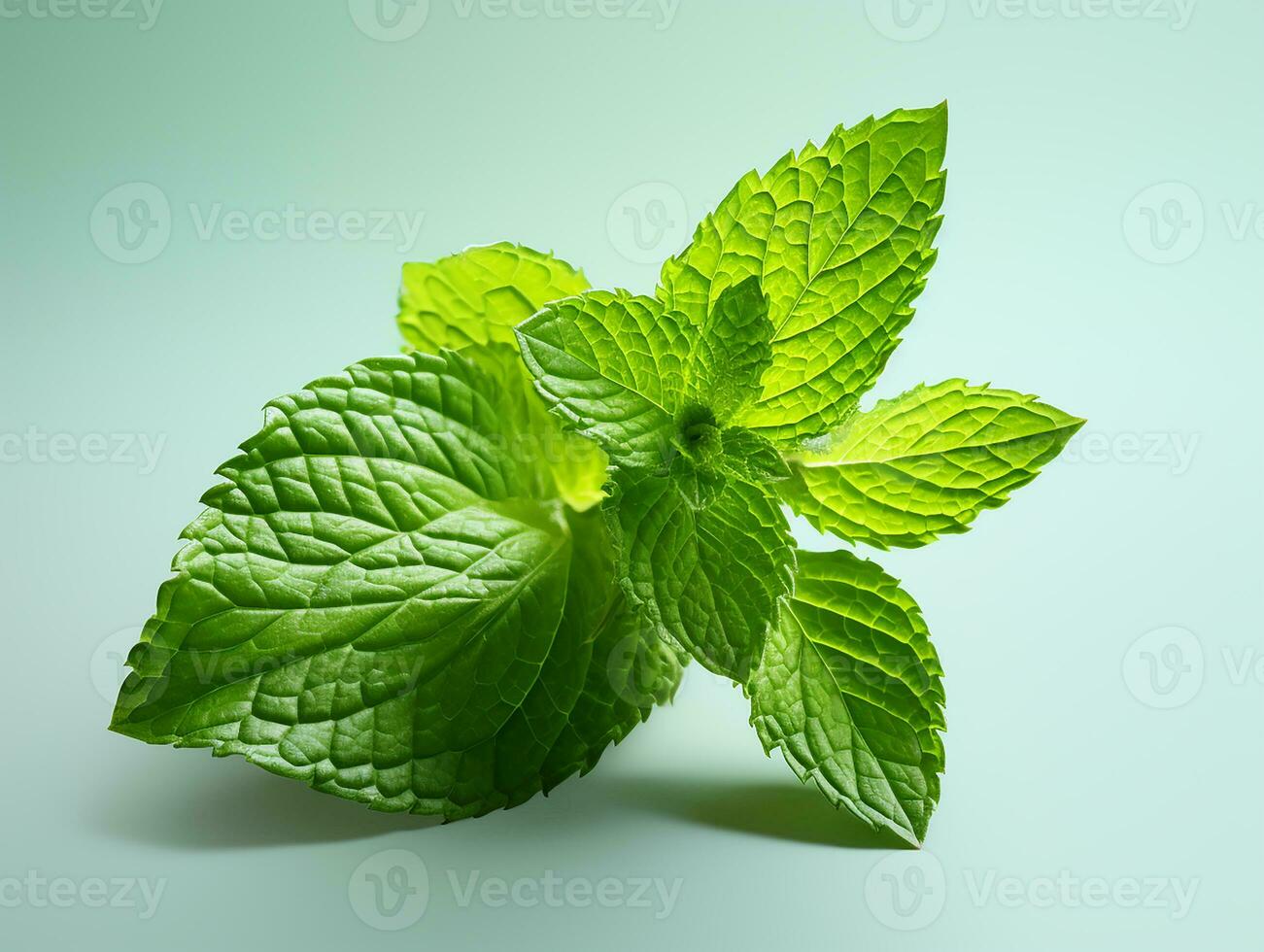 AI generated Mint leaf. Fresh mint on white background. Mint leaves isolated. Full depth of field. photo