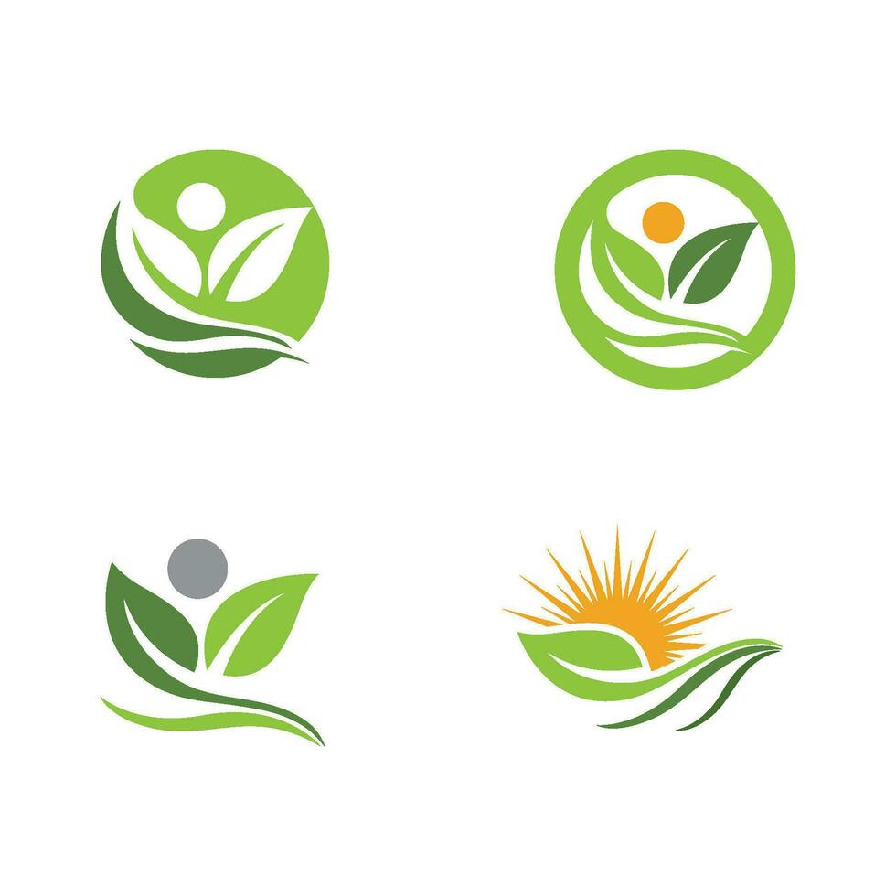 logotipos de la ecología de la hoja del árbol verde vector