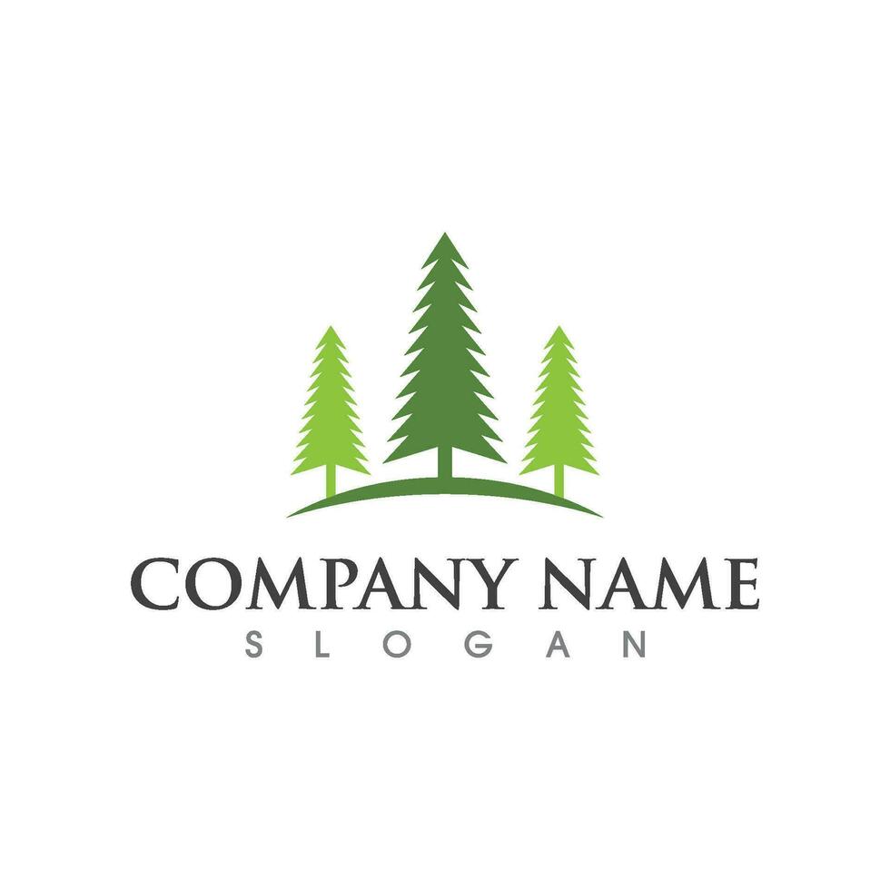 Cedar tree Logo template vector