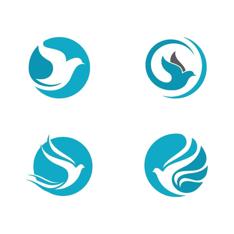 Bird wing Dove icon Template vector illustration