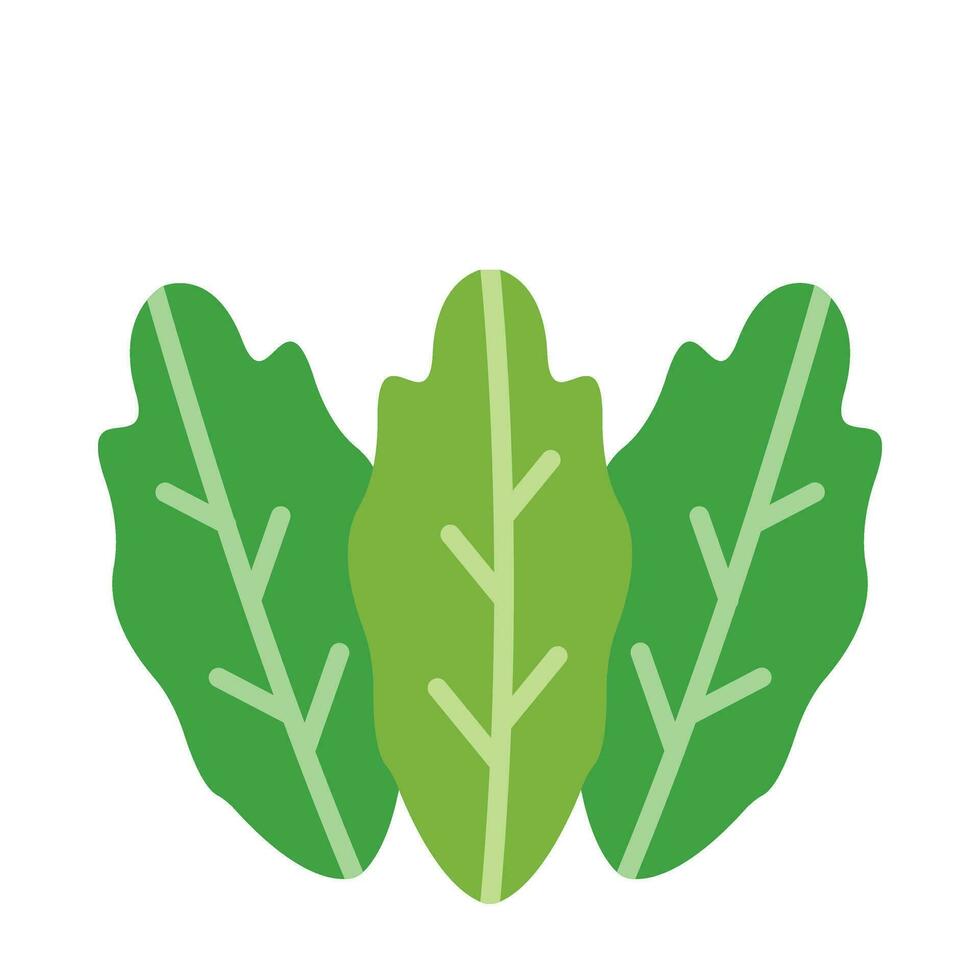 Lettuce Vector Flat Icon For Personal And Commercial Use.