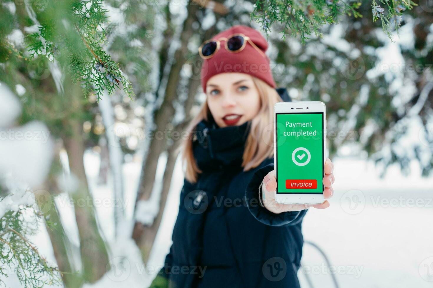 Payment completed message on a mobile phone screen photo
